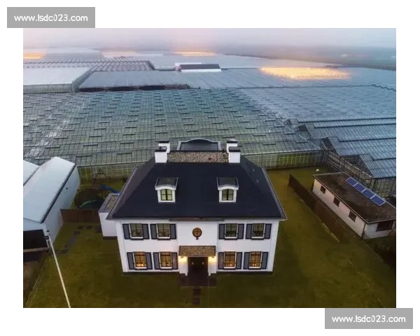 罗唐vs天心巅峰对决解析实力走向与赛场悬念全揭晓关键回合深度前瞻